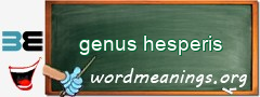 WordMeaning blackboard for genus hesperis